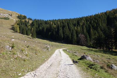 Panoramaweg auf der Brunnalm - herrliche Fotomotive vom Bergmassiv der Veitsch und der umliegenden Gegend