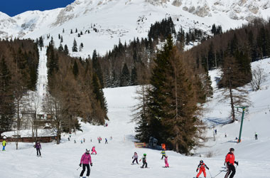 Skifoan beim Gasthof Scheikl auf der Brunnalm in der Veitsch (St.Barbara), Anfänger, Rennfahrer, Familienabfahrt, Kinderkurse 